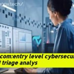 dice.com:entry level cybersecurity tier 1 triage analys