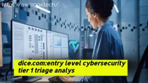 dice.com:entry level cybersecurity tier 1 triage analys